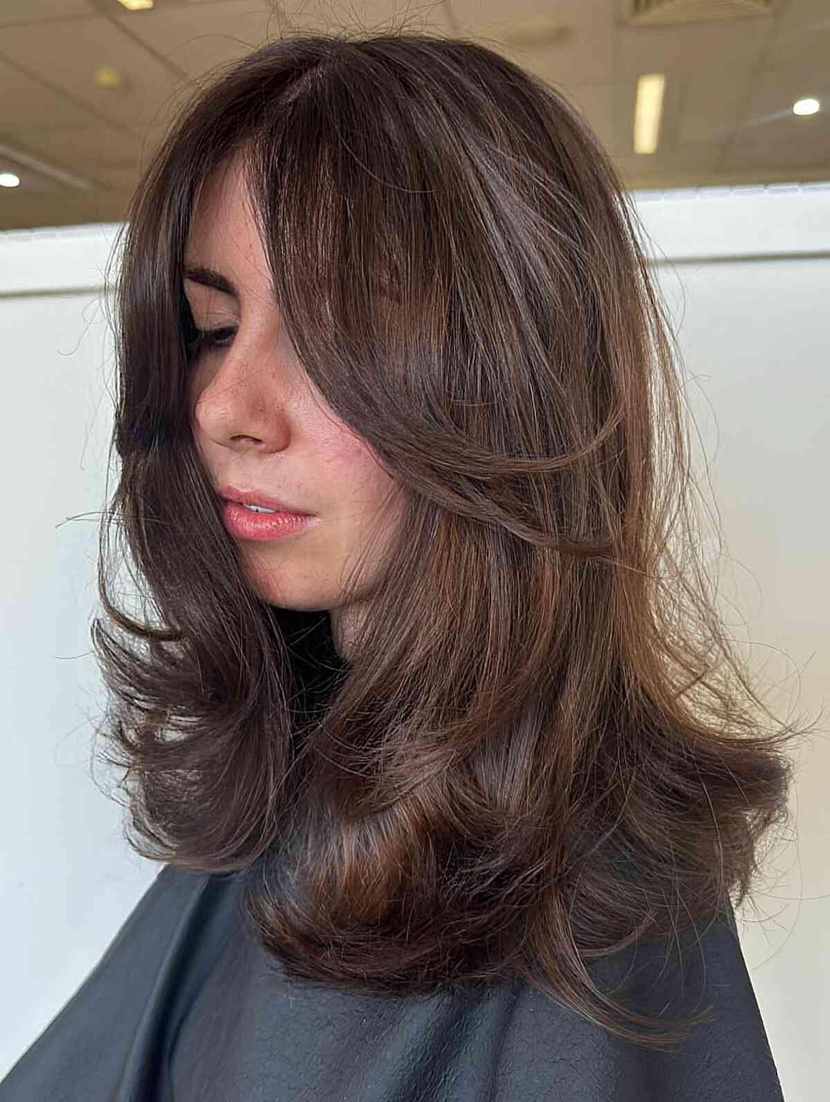 Layered Brown Hair with Face-Framing Highlights