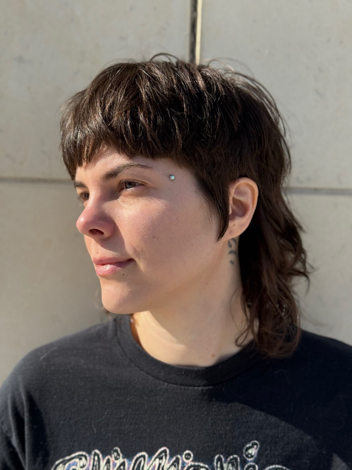 Cropped Layered Mullet with Chopped Micro-Bang and Ear-Grazing Sideburns
