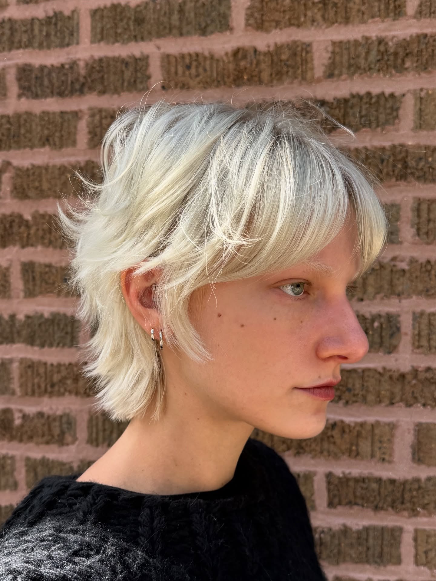 Icy Platinum Short Wolf Cut with Feathered Micro-Fringe