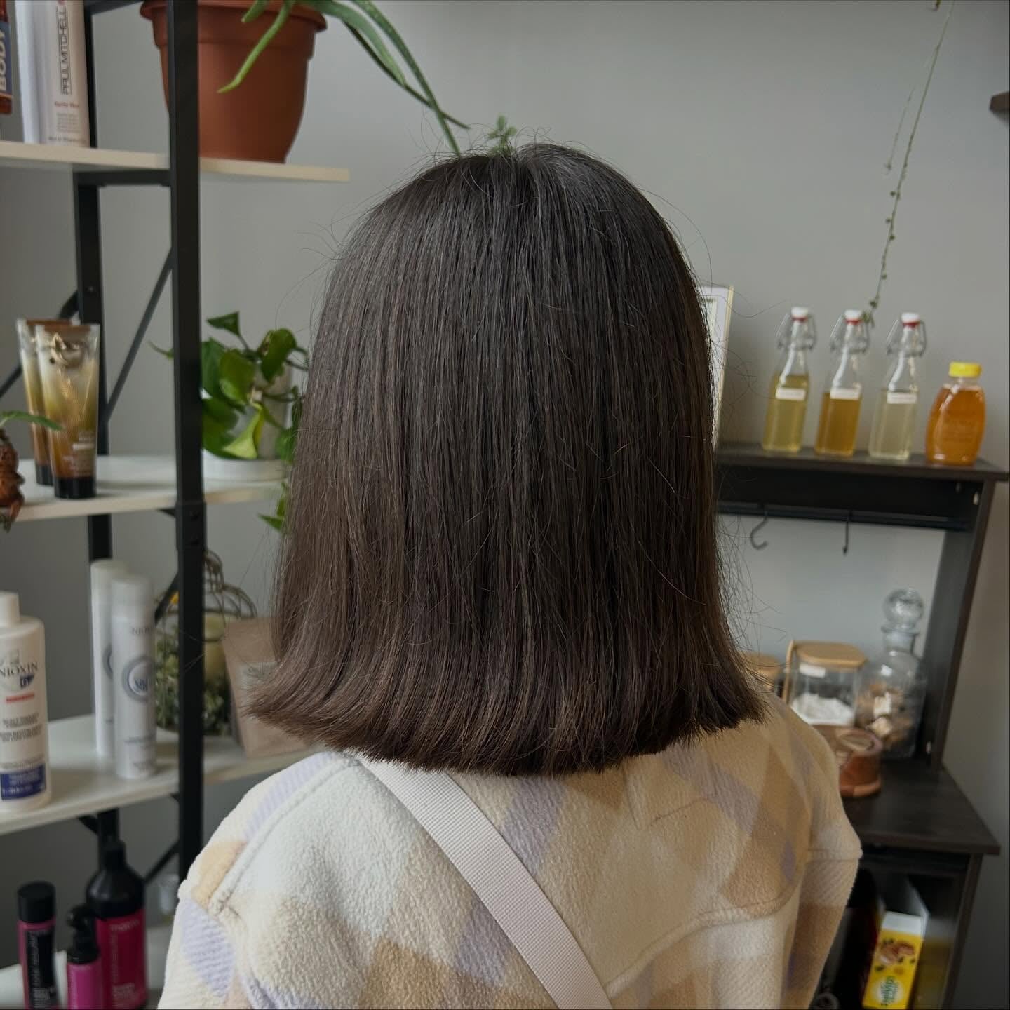 Blunt dark ash brown lob, back view in salon