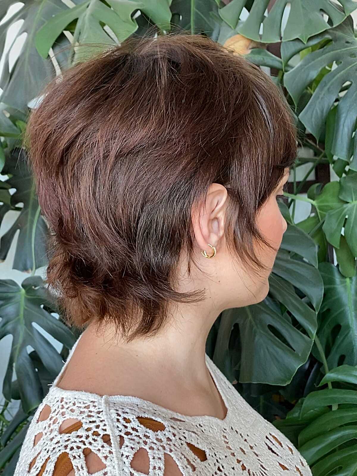 Layered brunette pixie cut with feathered nape detail