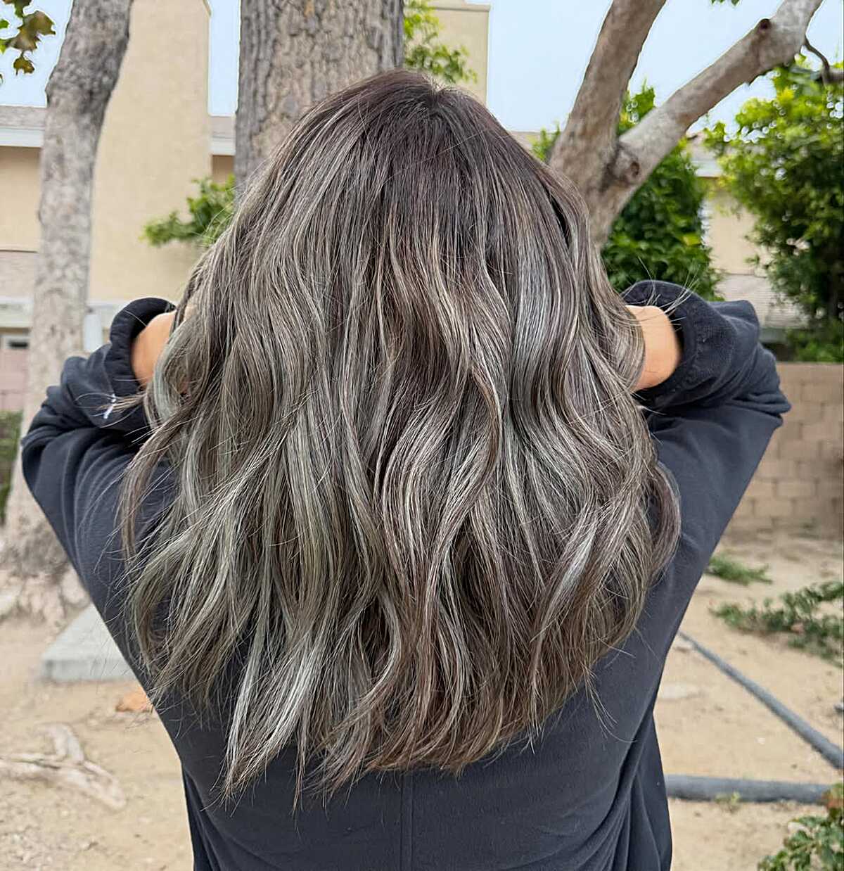 Thick dark hair with heavy silver-ash babylights