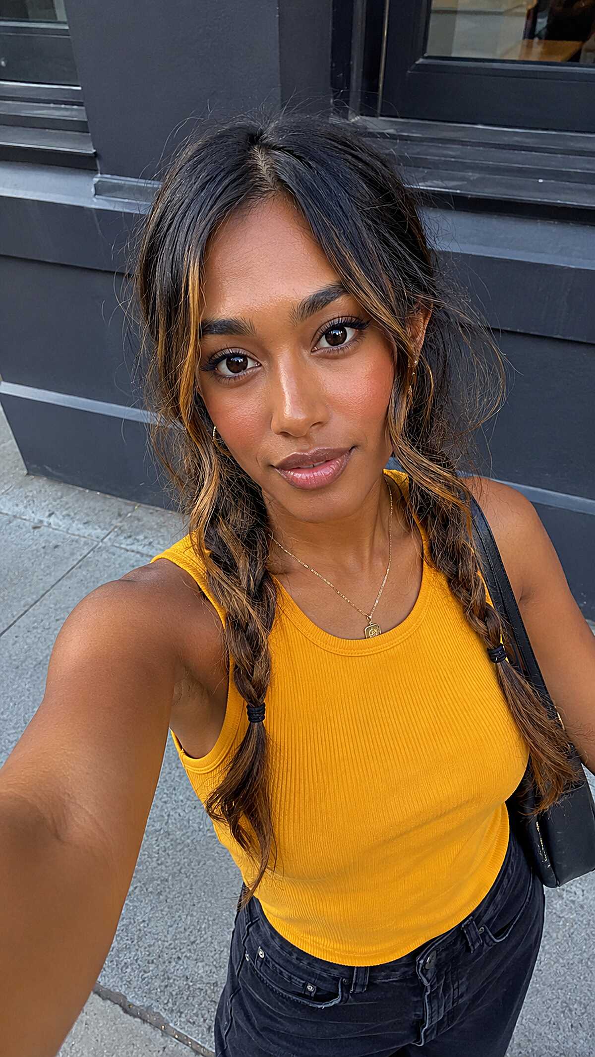 Loose Pigtail Braids with Honey Face-Framing Pieces