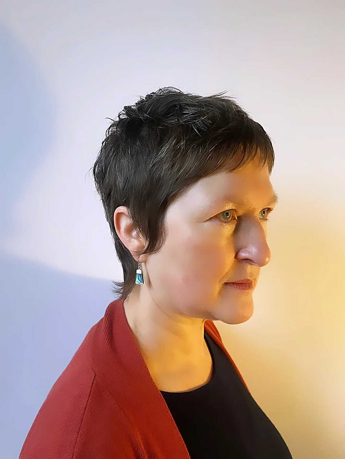 Dark Pixie Shag with Razored Crown Texture and Feathered Sideburns